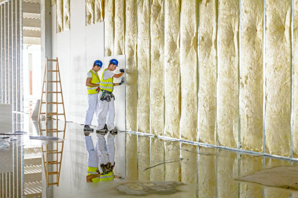 Best Energy-efficient Insulation  in Hillcrest, NY